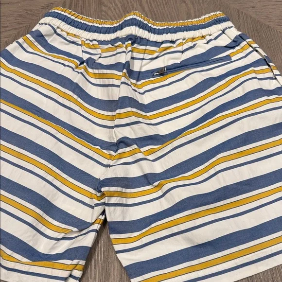 Aime Leon Dore Blue and Yellow Striped Swim Trunks - Picture 5 of 9